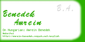benedek amrein business card